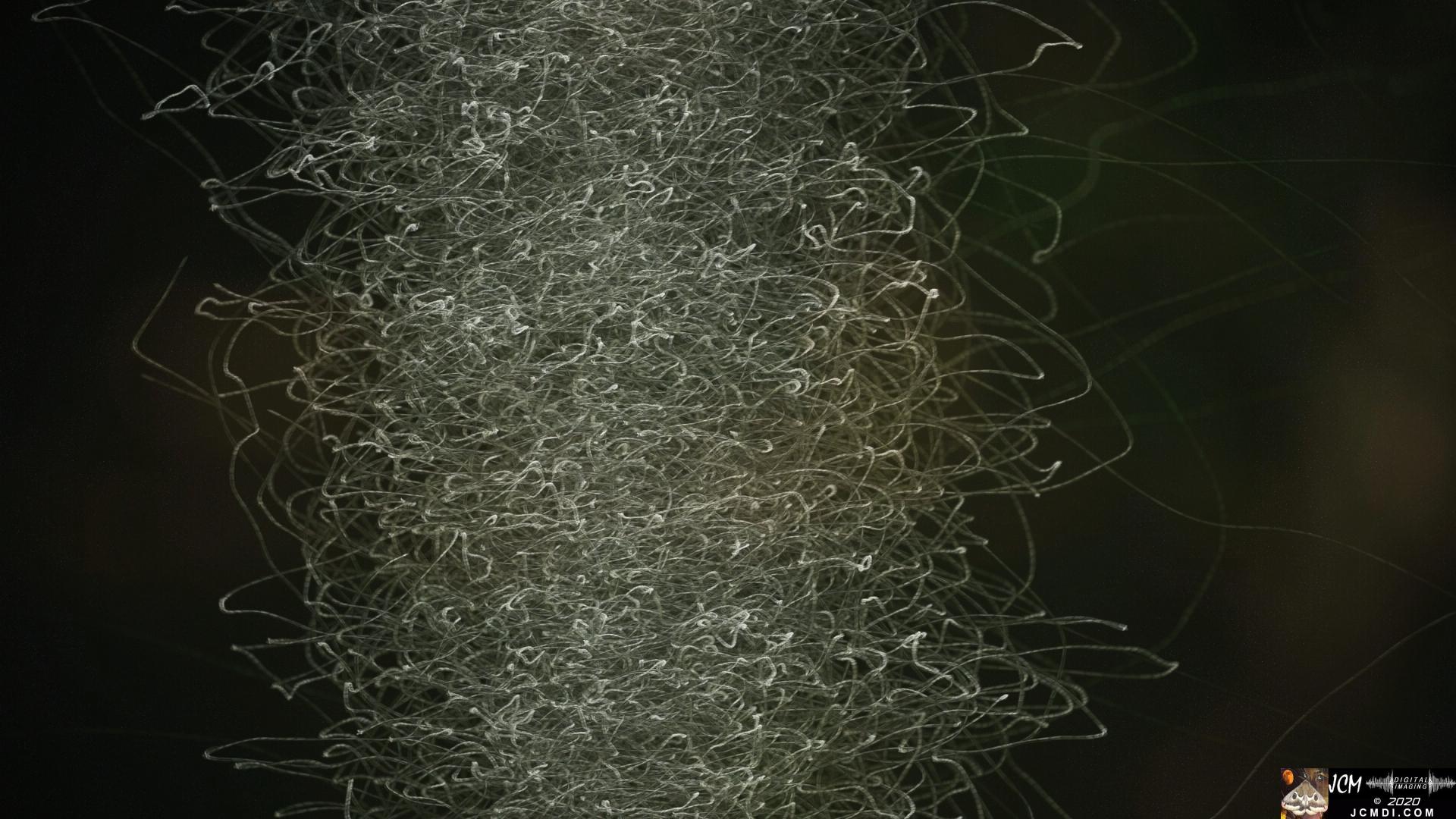 V25070d Tornado Bugs frames 499-975 IRV G.47, composite NoDK 0525